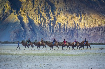 Nubra Valley